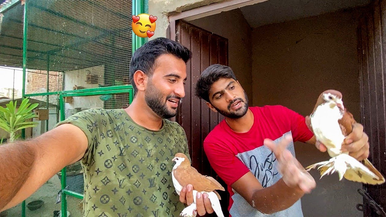 Sasty Main Achy Kbooter Le Aya 😘