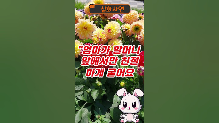 14살 손자가 할머니에게 하는 말을 듣고 며느리가 충격받았습니다 #실화사연 #인생사연 #노후사연 #시어머니 #며느리