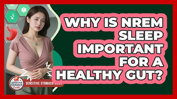 Why Is NREM Sleep Important For A Healthy Gut? - Sensitive Stomach Guide