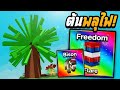 มาปลูก Freedom Flare ต้นพลุไฟกัน! Grow a Garden | พร้อมดูความสามารถ Bison ตัวใหม่