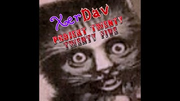 XerDav - Projekt Twenty Twenty Five