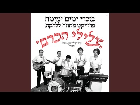 חנהל ה התבלבלה 