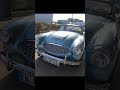 Austin Healey, Metall Classics Ennepetal 08.03.2026 #classiccars #britishcars #automotive