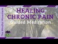 Healing Chronic Pain: 20 Minute Guided Meditation