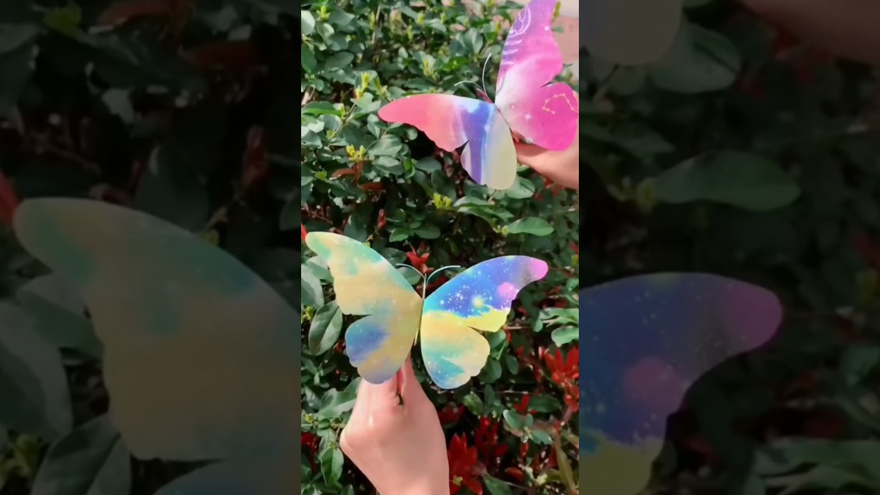 Flapping butterfly 🦋