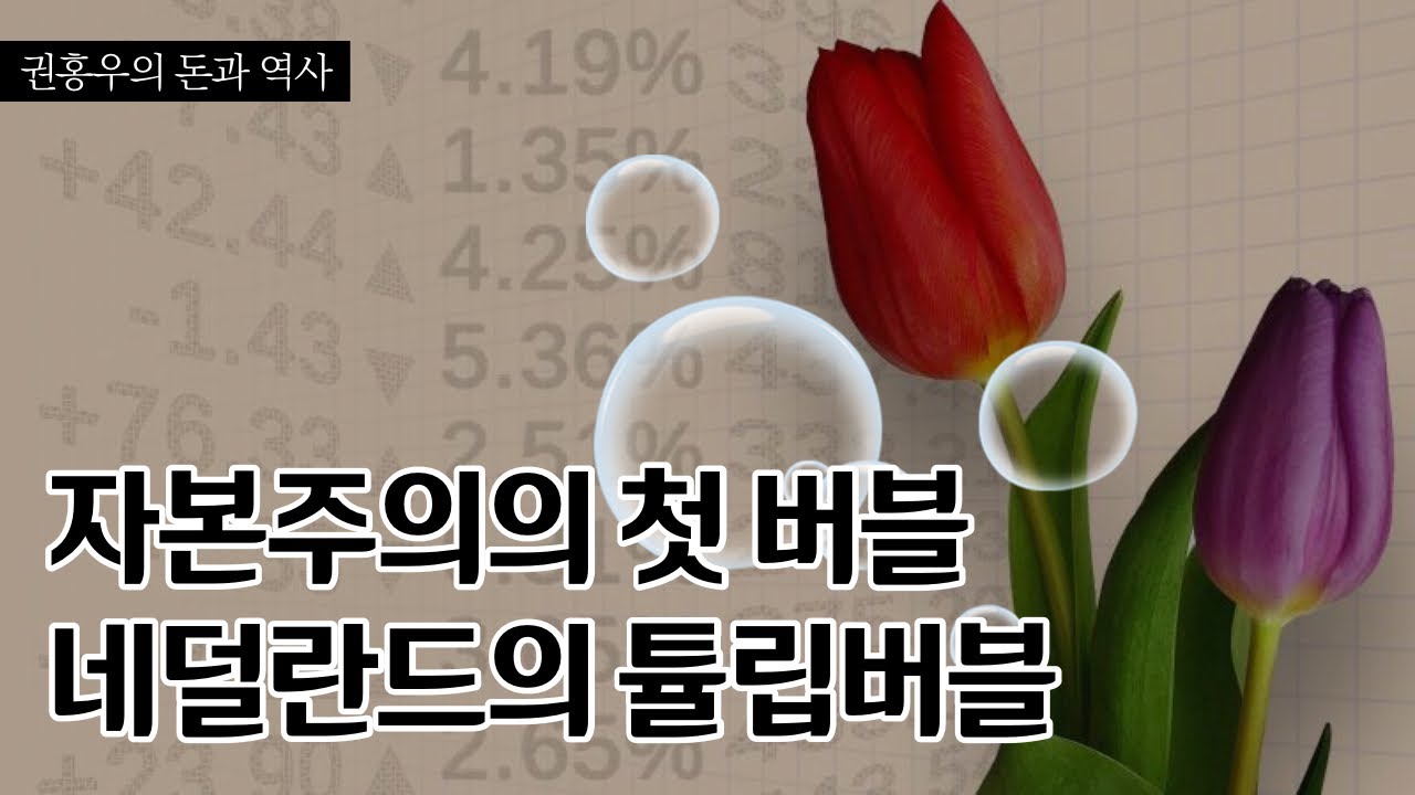 자본주의의 첫 버블, 튤립버블이란? [권홍우의 돈과 역사]