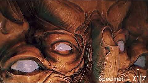 Specimen X117 – SynthMaster 2 iOS AUM-Jam – Images made in Nomad Sculpt