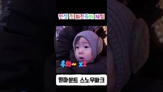 [타운게러지_인생놀이터] 인생첫 회전목마 체험기 / 이런 리액션 최고