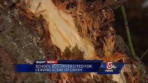 School bus driver cited for leaving scene of crash