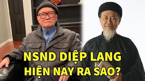 Nghệ sĩ Diệp Lang Ao Ước có sức khỏe để trở về Việt Nam - TIN GIẢI TRÍ