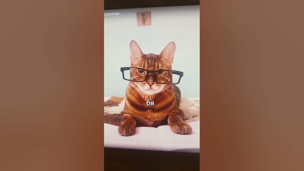 Mio Mao но это Валерий Полосатиков - YouTube
