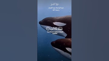 سَبِّحِ اسْمَ رَبِّكَ الْأَعْلَى _ تلاوة من سورة الأعلى_ الشيخ عبدالباسط عبدالصمد رحمه الله