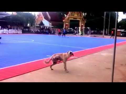 ดวลจุดโทษรอบรองฯ