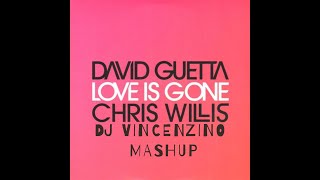 David Guetta & Chris Willis - Love Is Gone (Dj Vincenzino Mashup Mix) Resimi