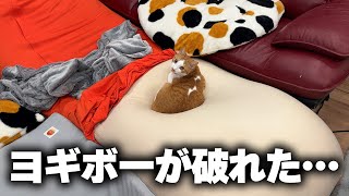 ついにYogiboが猫の爪に耐えられず爆ぜました。