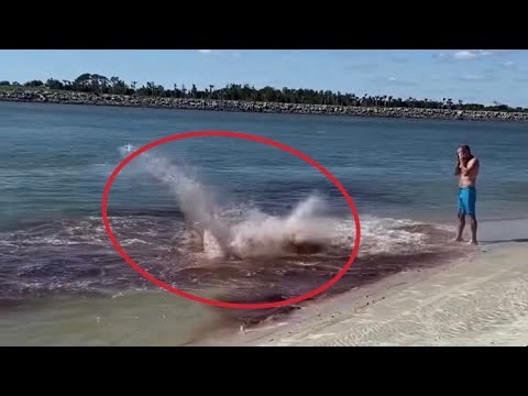 SHARK ATTACK CAUGHT ON CAMERA