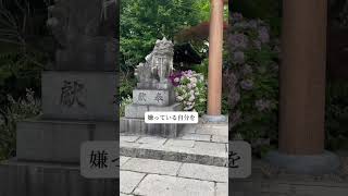 #運が良くなる #運気アップ  #第二の人生  #40代からの生き方 #50代からの生き方 #60代からの生き方 #大人の習い事  🔷https://ameblo.jp/lovemichelle/
