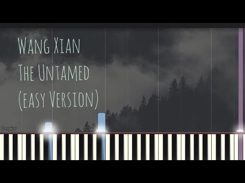 Wang Xian 忘羨 (陳情令 The Untamed) - 肖戰 王一博