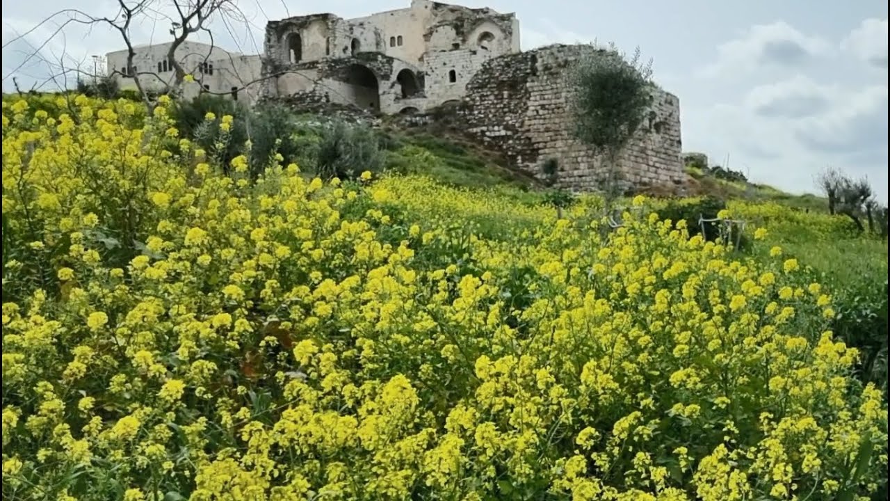 Migdal Tzedek.Migdal Afek.Крепость Мигдаль Цедек.מגדל צדק