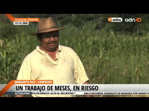 Sequías en Oaxaca afectan a cientos de campesinos
