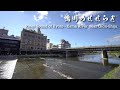 River Sound of Kyoto - Kamo River(Kamogawa) near Gion-Shijo | 4K
