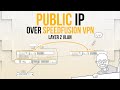 Assigning a public IP address on my Peplink SD-WAN router over Layer 2 SpeedFusion