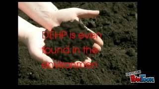 DEHP