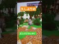 うん、これはエンパクラッチと言っていいのか()#エンパクラッチ#hive #いいね #チャンネル登録お願いします #minecraft #マイクラ