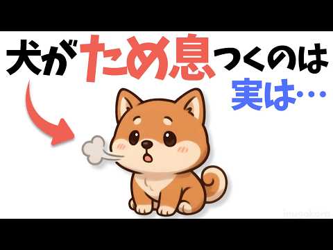 犬のため息の理由と見分け方 獣医師が教える健康チェックのコツ