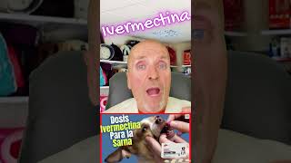  Ivermectin For Dogs 