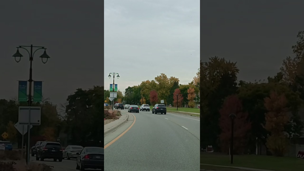 ✅1ПОЧЕМУ ШТАТ МИННЕСОТА?