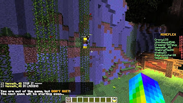 Caught Hacking on Mineplex: Venneth_48