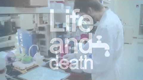 L8 Legionella Testing & Control