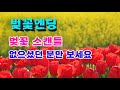 벚꽃엔딩- 화려한 벚꽃은 졌지만 내 마음 속 벚꽃은 아직 지지 않았습니다