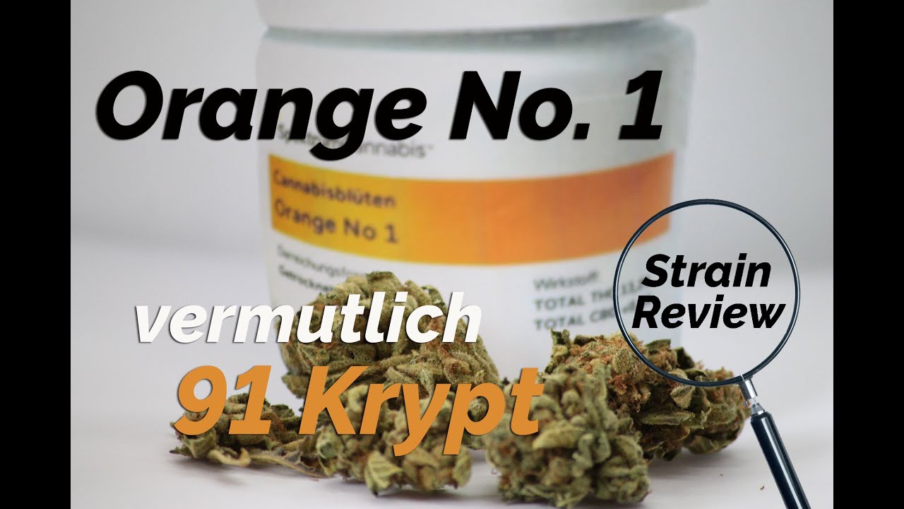 Orange No. 1 - vermutlich 91 Krypt - Geruch, Geschmack, Wirkung, Terpenprofil