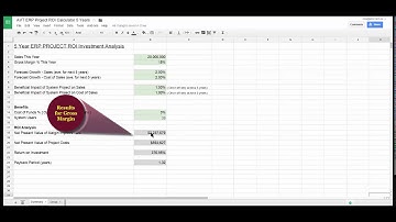 Calculating 5 Year ROI of an ERP Project