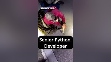 Junior Python Developer vs Senior Python Developer #python #softwareengineer #shorts #junior