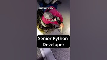 Junior Python Developer vs Senior Python Developer #python #softwareengineer #shorts #junior