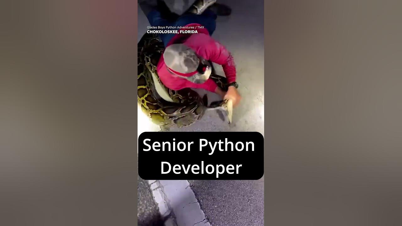 Junior Python Developer vs Senior Python Developer #python # ...