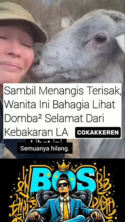 SEORANG WANITA INI MENANGIS BAHAGIA #shortviral #viralvideo #trending #pyp