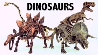 Dinosaur surprise Eggs Skeleton fossils Triceratops and Brachiosaurus Part 2