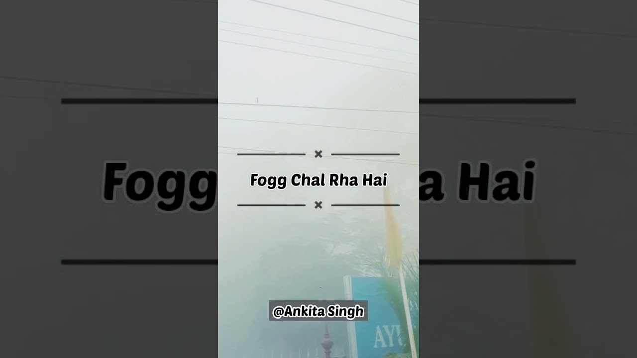 A day in the life of BAMS student 🍃🌼✨❤️|BAMS Student Life| 