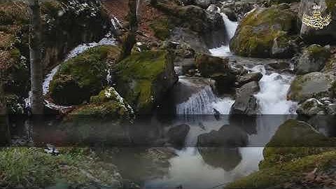 سورة الفتح والشمس والضحى والشرح أروع روائع الشيخ عبد الباسط عام 1960م Surah Al Fath