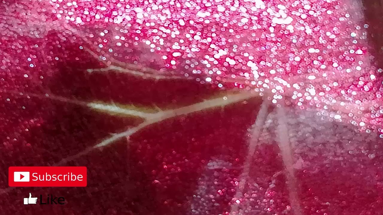 Ellie Goulding Love Me Like You Do / 1 hour music YouTube