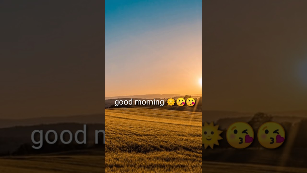 🥰Feel the music whatsapp status!😊 Good morning status! Love song status!Alone status YouTube