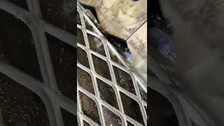 Perfect Fence Installation – Clean &amp; Professional Finish