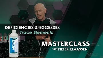 Masterclass – Deficiencies and Excesses Trace Elements