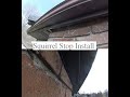 Gap at Chimney-Soffit Interface Closed After Squirrel Removal | Prevention