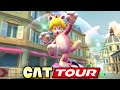 ALL CAT TOUR CUPS 100%! | Mario Kart Tour (Android & IOS)