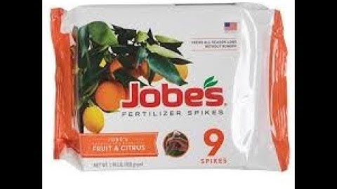 How To Use Fruit Tree Fertilizer Spikes - Jobe